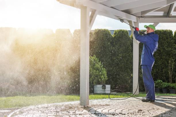 Best Pre-Holiday Cleaning  in Woodville, MS